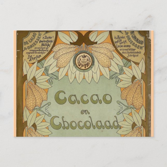 Postal Cacao en chocolate holandés 1900 (Anverso)