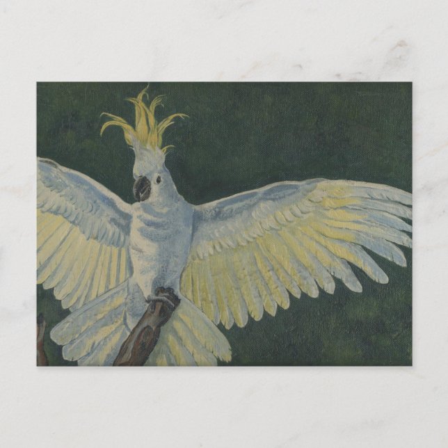 Postal cacatúa (Anverso)