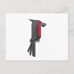 Postal Cacatúa negra elegante