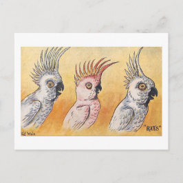 Postal Cacatúas, Louis Wain,