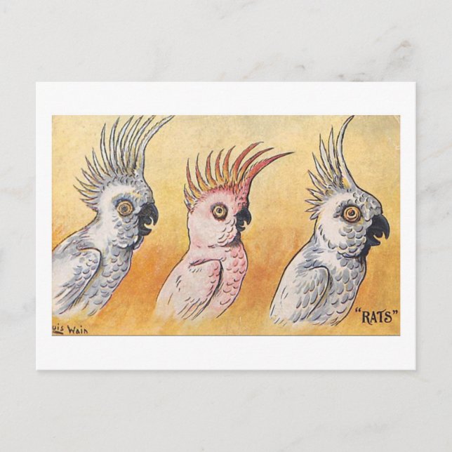 Postal Cacatúas, Louis Wain,  (Anverso)