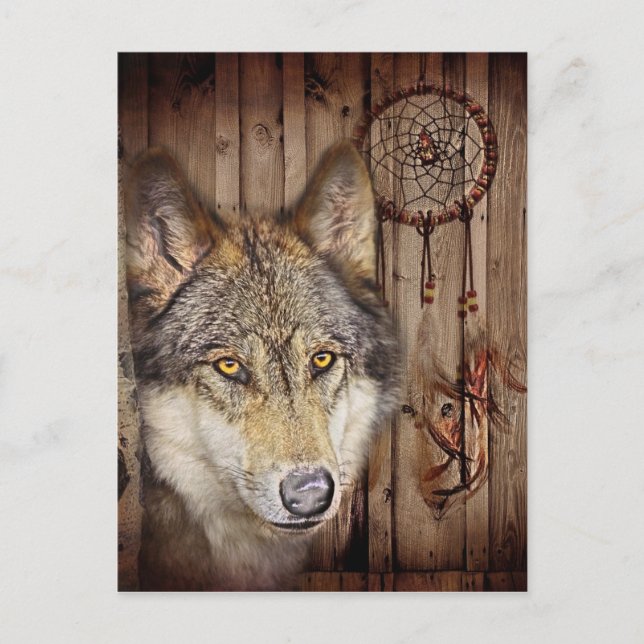 Postal Cacería de ensueño occidental nativa de lobo indio (Anverso)