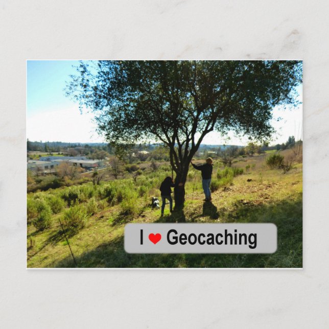 Postal Caché de suspensión de árbol en geocalización (Anverso)