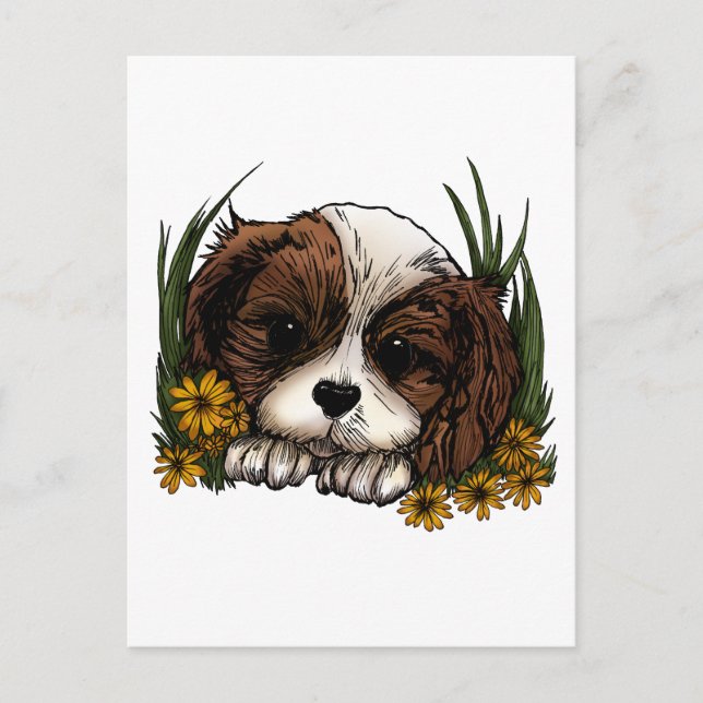Postal Cachorro (Anverso)