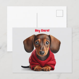 Postal Cachorro adorable de raza Dachshund 
