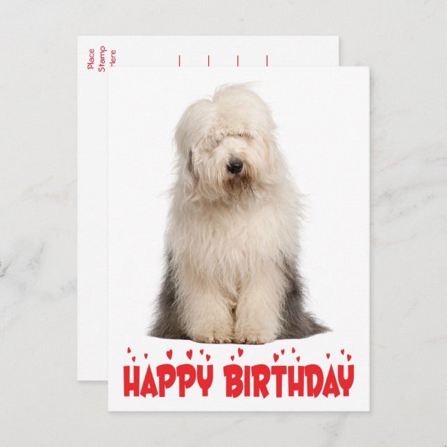 Postal Cachorro Adorable Perro Pastor Inglés Antiguo Cump (Anverso / Reverso)