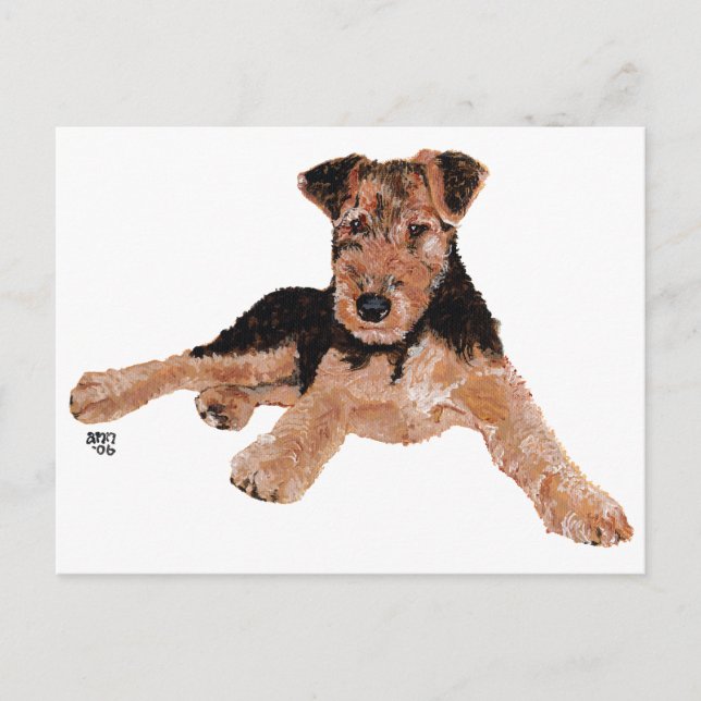 Postal Cachorro Airedale, Lakeland, Welsh Terrier (Anverso)