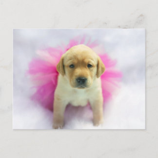 Postal Cachorro amarillo