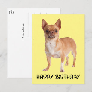 Postal Cachorro Amarillo Divertido Cumpleaños de Chihuahu