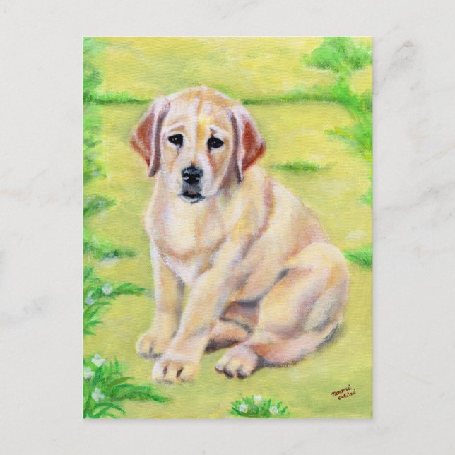 Postal Cachorro amarillo Labrador (Anverso)
