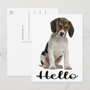 Postal Cachorro Beagle Hola divertido perro pensando en t