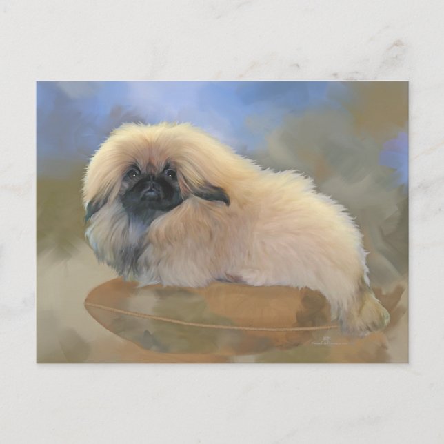 Postal Cachorro Bonito (Anverso)
