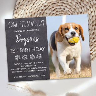 Postal Cachorro Cachorro Cumpleaños Ven Siéntese, Quédate
