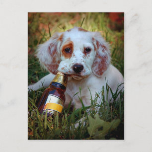 Postal Cachorro con botella de cerveza