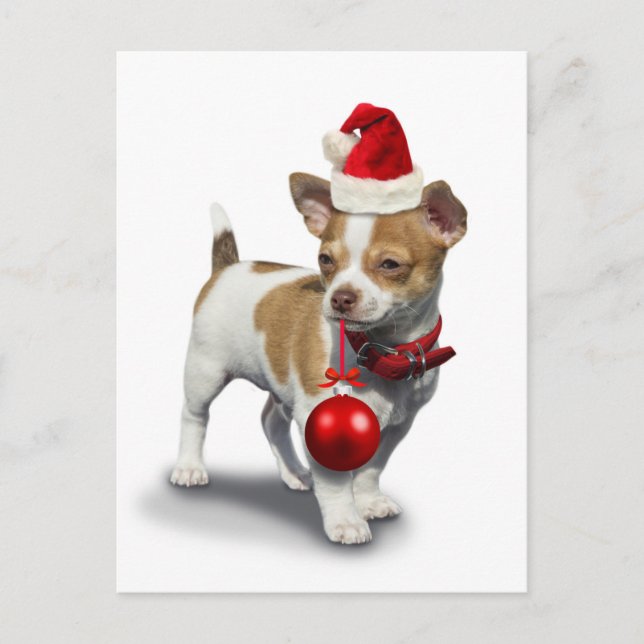 Postal Cachorro con navidades gorra y pelota (Anverso)
