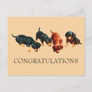 Postal Cachorro curioso de Dachshund felicidades