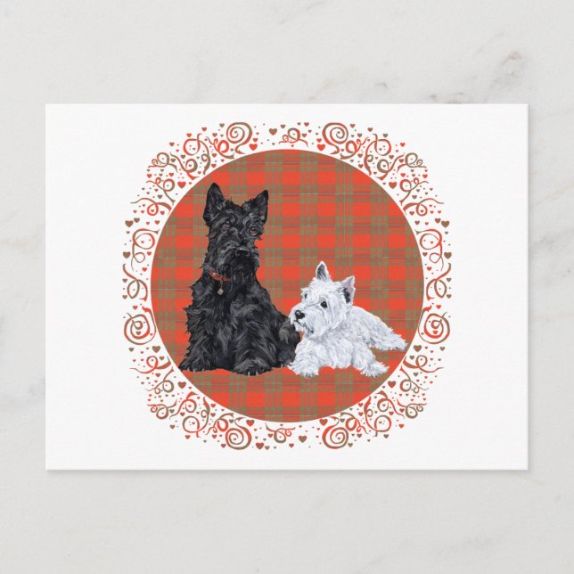 Postal Cachorro de adultos y westie de Escocia (Anverso)