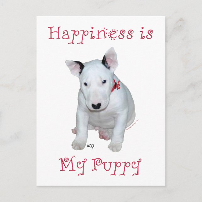 Postal Cachorro de Bull Terrier (Anverso)