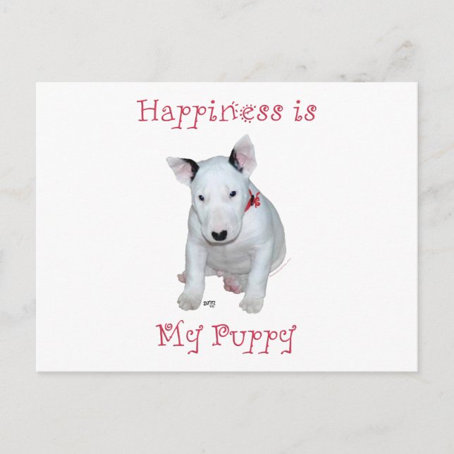 Postal Cachorro de Bull Terrier (Anverso)