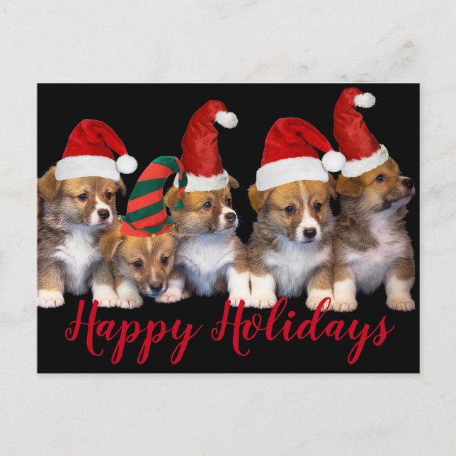Postal Cachorro de cachorros Perros Felices Fiestas Navid (Anverso)