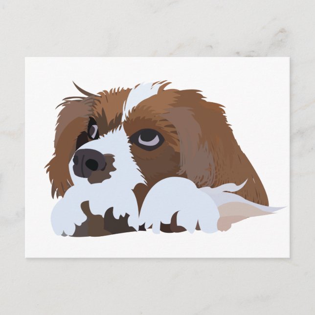 Postal Cachorro de Cavalier King Charles Spaniel (Anverso)