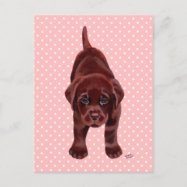 Postal Cachorro de chocolate Labrador (Anverso)