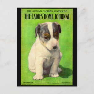 Postal cachorro de la portada de Ladies Home Journal de s