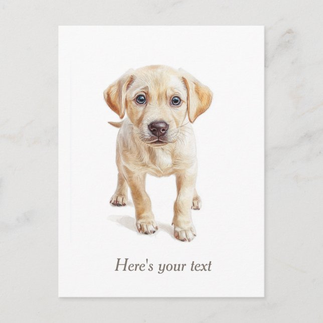 Postal Cachorro de Labrador Personalizado (Anverso)