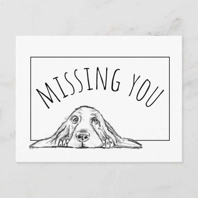 Postal cachorro de ojos simples negro y blanco de basset  (Anverso)