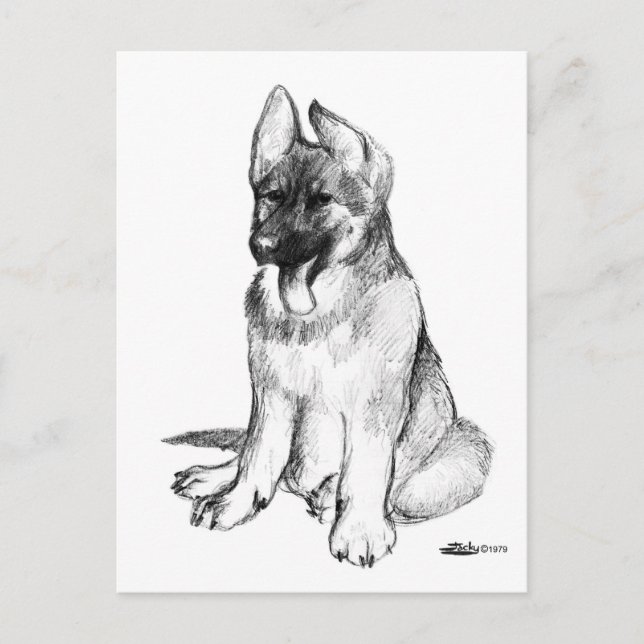 Postal Cachorro de Pastor Alemán (Anverso)