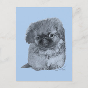 Postal Cachorro de Pekín Azul