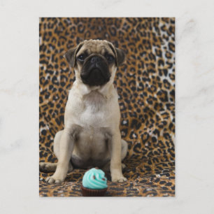 Postal cachorro de puerro sentado contra la huella animal