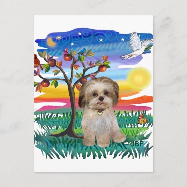 Postal Cachorro de Shih Tzu #2 (Anverso)