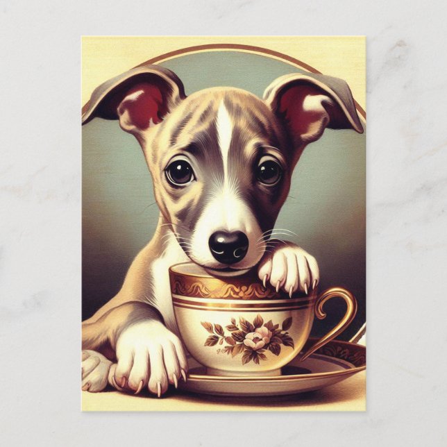 Postal Cachorro de Whippet (Anverso)