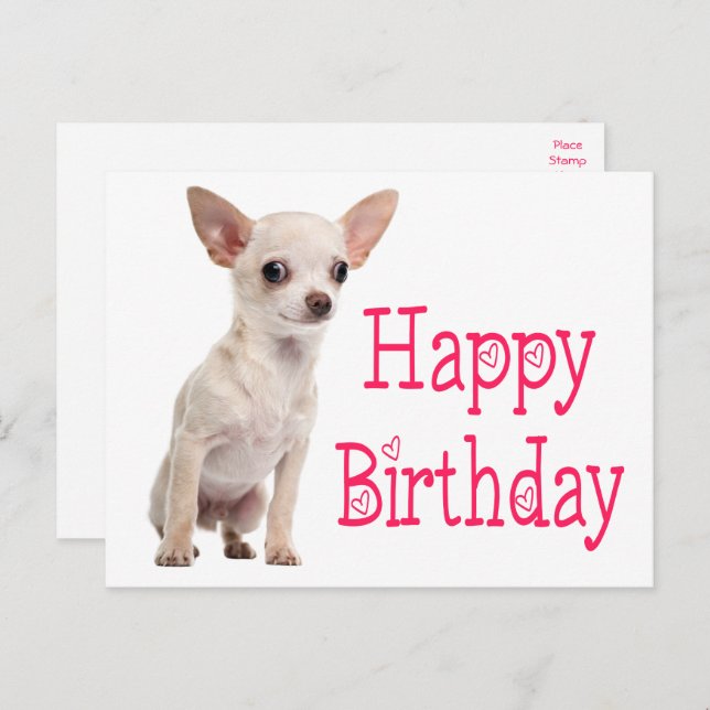 Postal Cachorro Divertido Perro Chihuahua Cumpleaños (Anverso / Reverso)