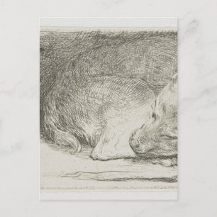 Postal Cachorro dormido de Rembrandt