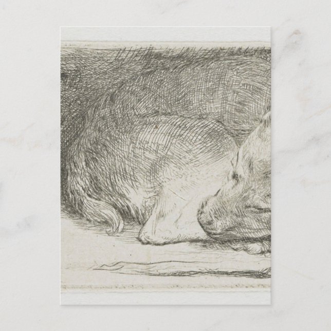 Postal Cachorro dormido de Rembrandt (Anverso)