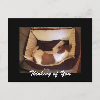 Postal Cachorro dormido - Pensando en ti