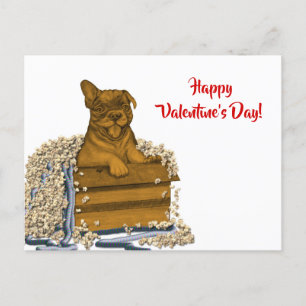 Postal Cachorro en una caja, ¡Feliz Día de San Valentín!