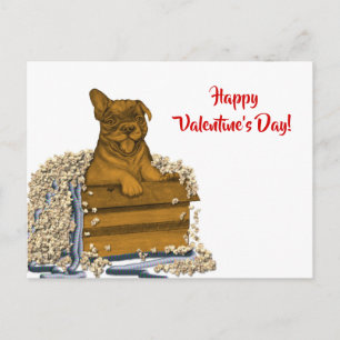 Postal Cachorro en una caja, ¡Feliz día de San Valentín!