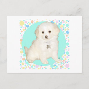 Postal Cachorro mestizo de Caniche / Bichón celebra la vi