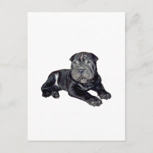 Postal Cachorro negro de Shar Pei chino