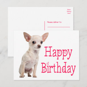 Postal Cachorro Perrito Divertido Cumpleaños Chihuahua