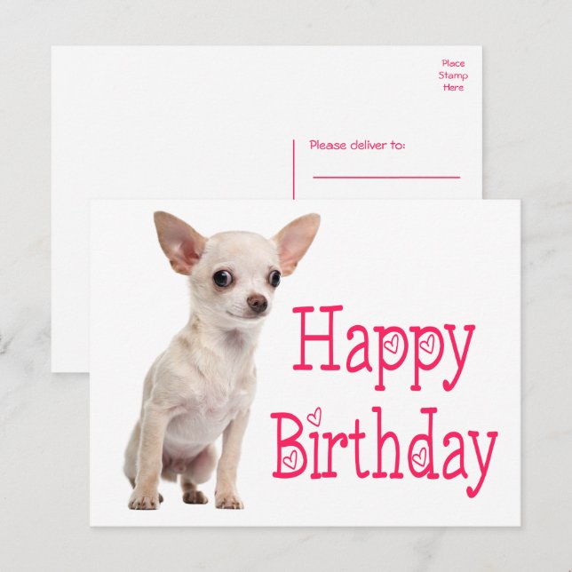 Postal Cachorro Perrito Divertido Cumpleaños Chihuahua (Anverso / Reverso)