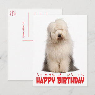 Postal Cachorro Perrito Old English Sheepdog Cumpleaños T