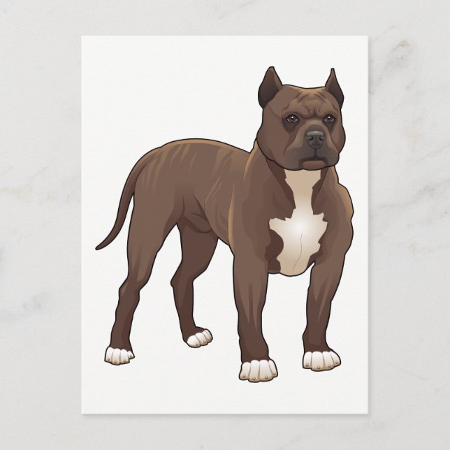 Postal Cachorro Pit Bull - Hola, Te Extraño, Gracias (Anverso)