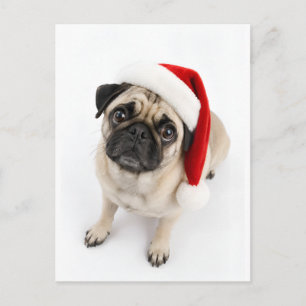 Postal Cachorro Pug Ciervo Navideño Gorro de Santa Ojos d
