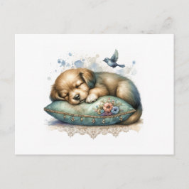 Postal Cachorro resistente