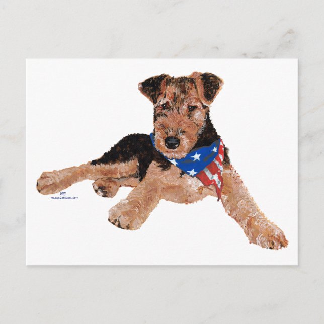 Postal Cachorro Terrier Patriótico (Anverso)