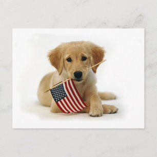Postal Cachorro y bandera de Golden Retriever